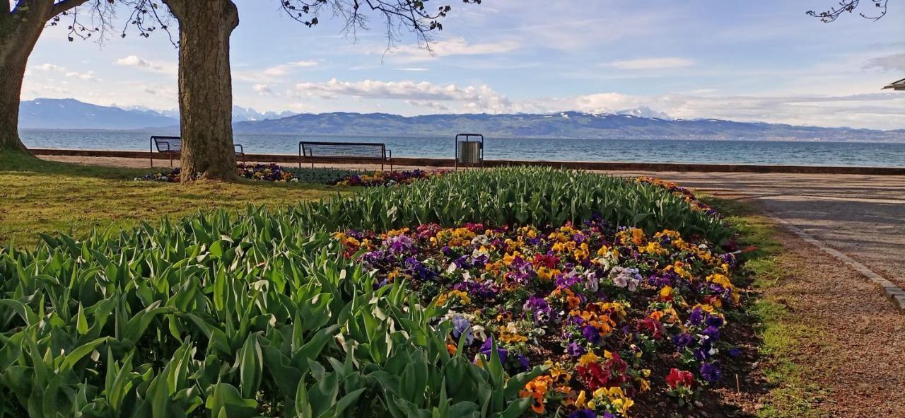 Bodensee Apartments Kressbronn "Haus Am Seepark" クレスブロン・アム・ボーデンゼー エクステリア 写真